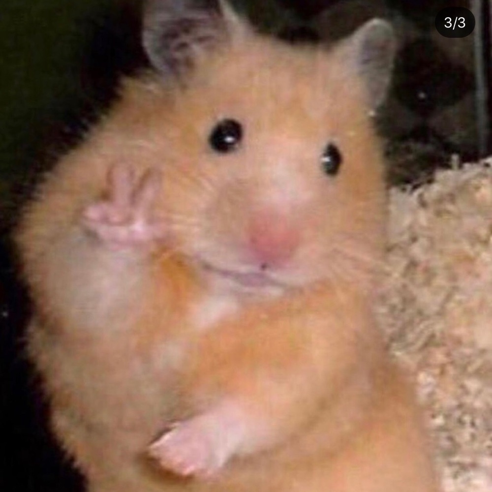 Meet your Posher, Angie